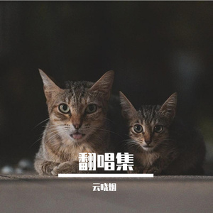 傻瓜不准难过 （翻自 威仔）