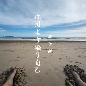 你用谎言欺骗了自己 (伴奏)