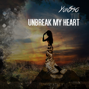 Unbreak My Heart