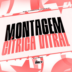 Montagem Cítrica Vitral