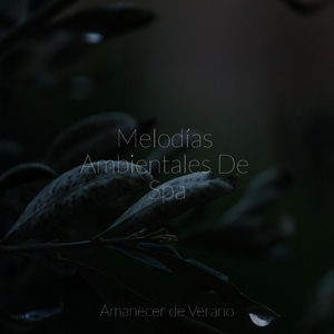 Armonías Entrelazadas
