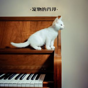 童话城堡的神秘之夜 (八音盒)