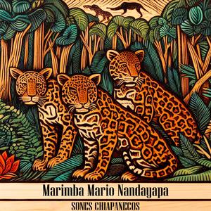 Sones Chiapanecos (feat. Mario Nandayapa Quartet)