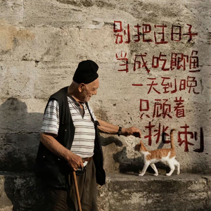 威尔士-知足常乐（拿了金银镯就拿不了玉如意）（威尔士 remix）