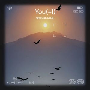 You (=l)【Cover：脸红的思春期】