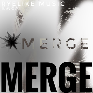 合纵Merge