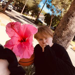 Kontrol Kombat (feat. The White House Oval Office & BabaBass3000)