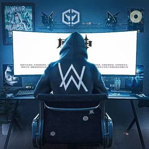 Alan Walker-Me, Myself and The Night（shou u remix）
