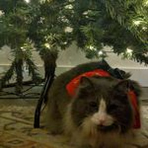 Public Enemy #1 (slowed)