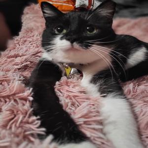 so close 2 dying (feat. Lil Coffin)