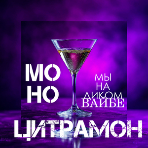 МЫ НА ДИКОМ ВАЙБЕ