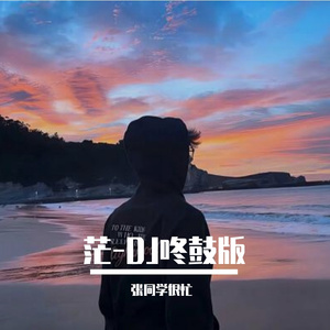 茫-DJ咚鼓版