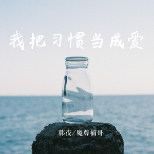 我把习惯当成爱