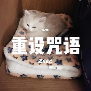 重设咒语