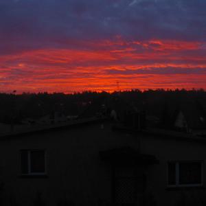 Junkhead (Live at Estrada)