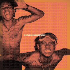 No Flex Zone (Sleep2 Remix)