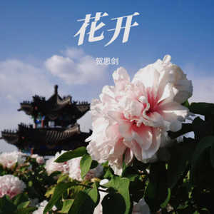 花开-伴奏