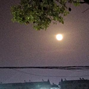 阿拉斯加海湾（翻唱）