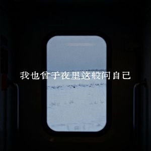 我也曾于夜里这般问自己