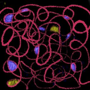 Rug Speech (feat. D.R.U.G.S. Beats)