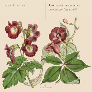 Lute Sonata No. 3, Op. 1: I. Alemanda