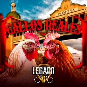 GALLOS REALES