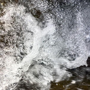 Pluriverse