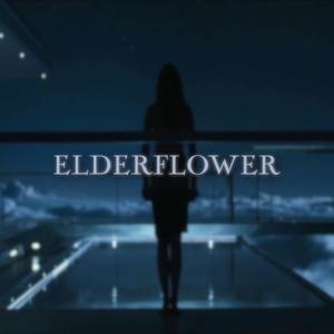 Elderflower