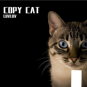 COPY CAT