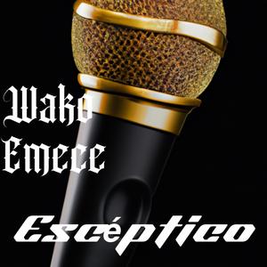 Escéptico