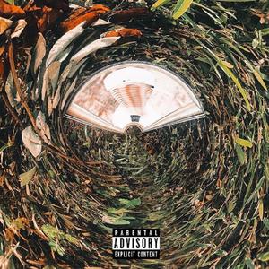 Ashanti (feat. Bean) (Remix)