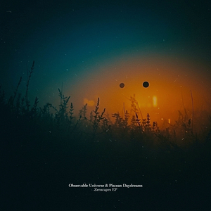 Reflections of the Pure Land