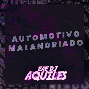 Automotivo Malandriado
