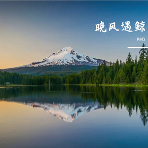 逆光亦向阳