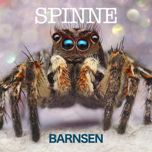 Spinne