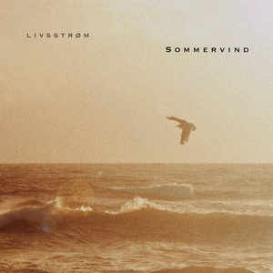 Sommervind