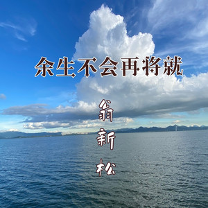 余生不会再将就 (DJ JL版伴奏)