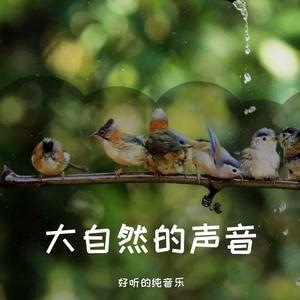 优美的大自然音乐-鸟儿欢叫