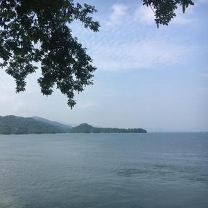 少年王配乐（翻自 任仕武）