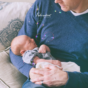 종달새 (캐나다 동요)