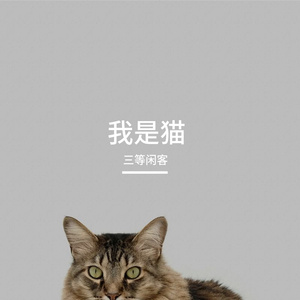 飞花轻月两相好