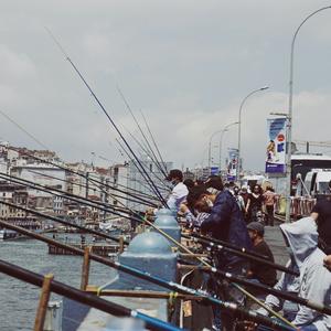 我走后