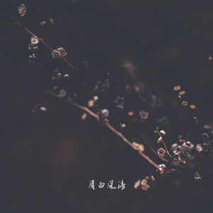 空谷幽兰 (古筝)