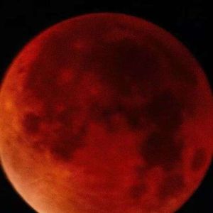 无声的告别_166006722289269264