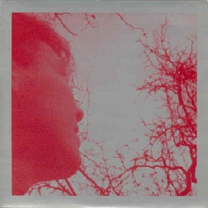 B The Very Beginning