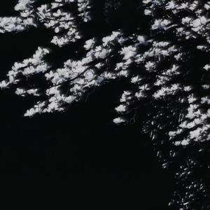 给自己的歌(翻自：李宗盛）