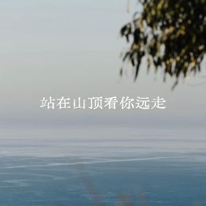 站在山顶看你远走