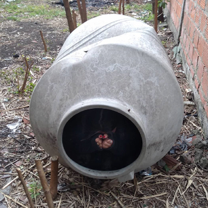 adentro de un tanque de agua