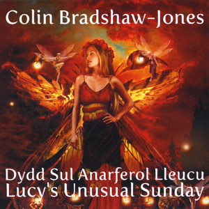 Small Warm Universe - Bydysawd Bach Cynnes