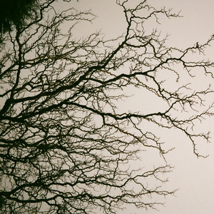 午夜的牢騷 2022